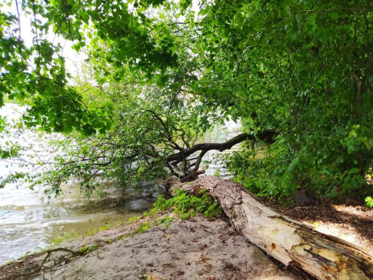 Zlot Talentów 2020 – relacja