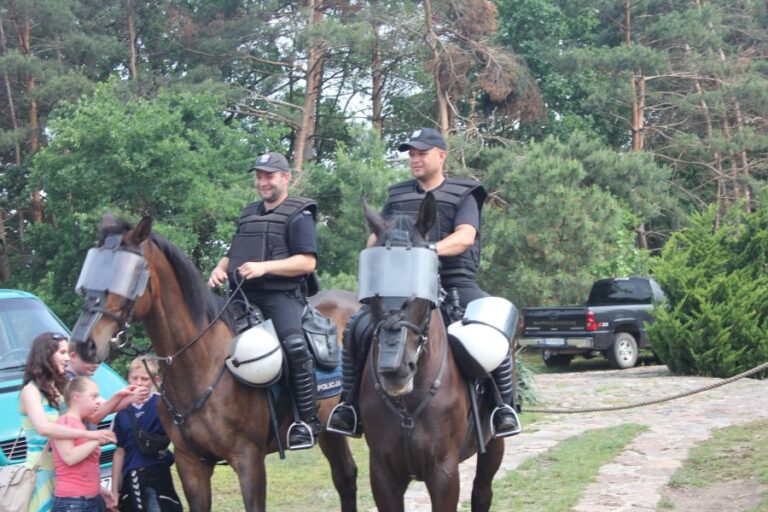 Piknik na końskej polanie