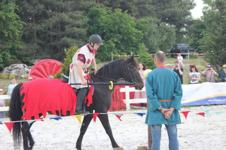 Piknik na końskiej polanie