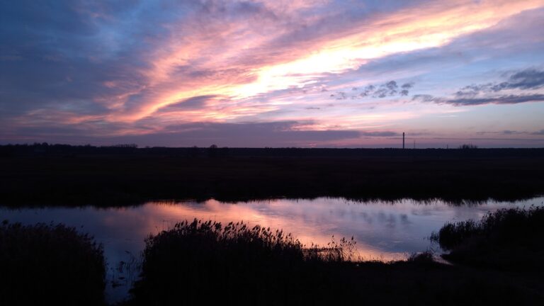 Ja i moje dzieła – Katarzyna