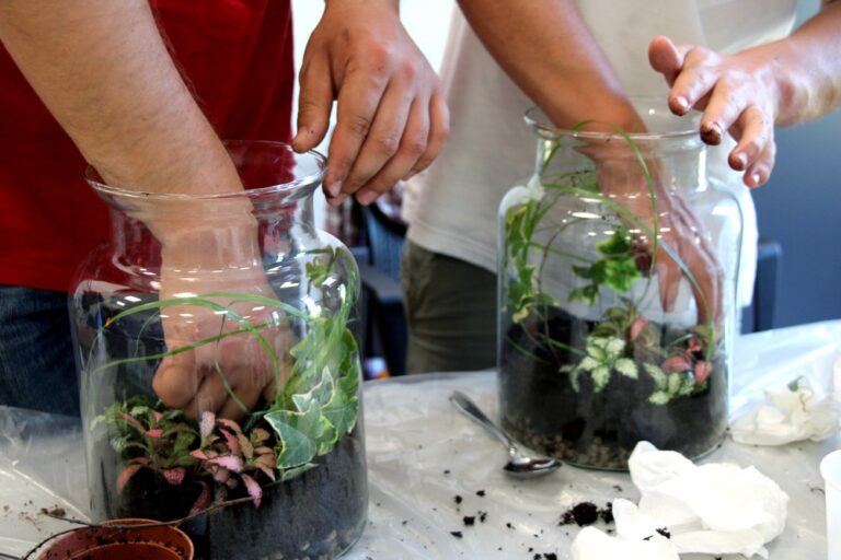 Warsztaty las w butelce