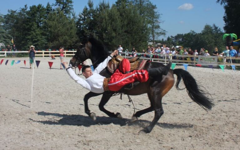 Piknik na końskiej polanie
